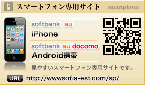 スマートフォン専用サイト